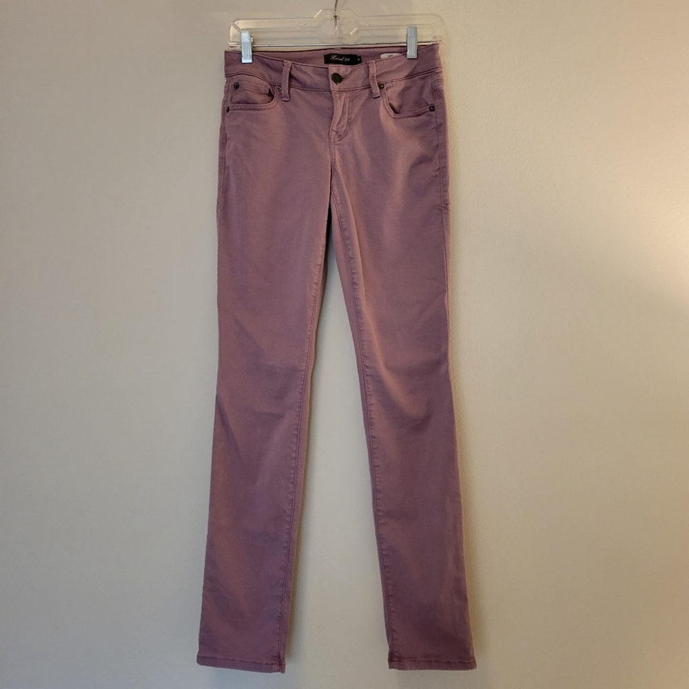 LEVEL 99 Lily Skinny Staight Jeans | Size 25